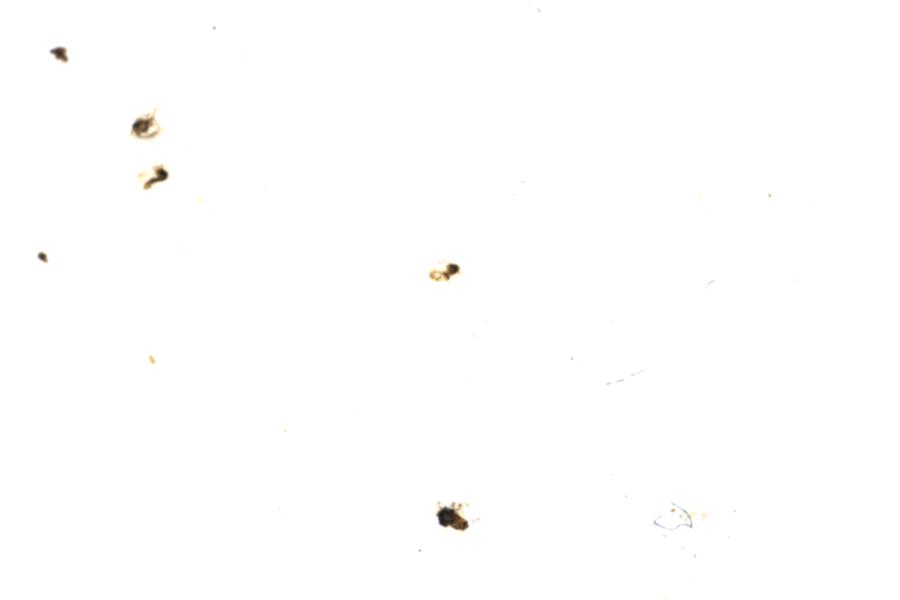 Image 102
